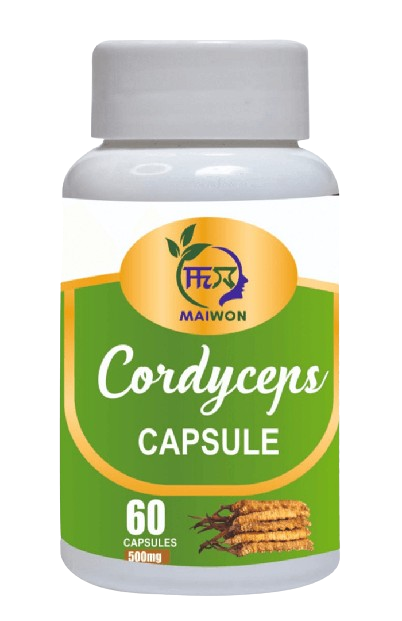 Cordyceps Capsule